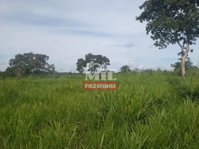 Fazenda em Araguaçu-TO. (89 Alqueires) Dupla Aptidão.