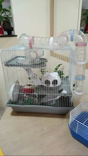 Gaiola Hamster 3 Andares Completa com Tubos + Brinde Gaiola de Transporte