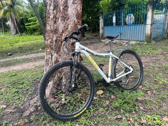 Bicicleta Caloi two niner Aro 29