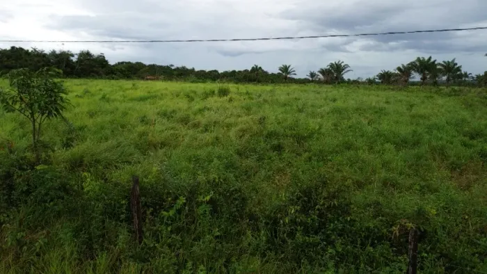 90 hectares há 130 km de Belém R$ 1.500.000