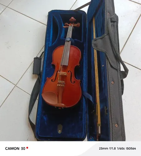Violino