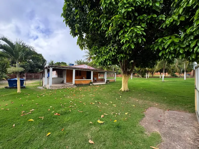 GRANJA EM JAPECANGA
