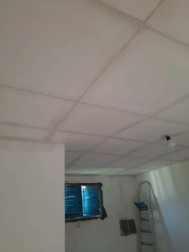 Forro se gesso, parede, pintura e forro de PVC