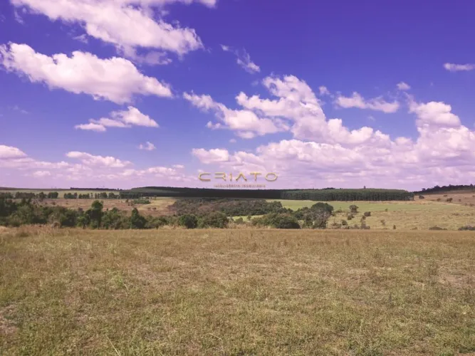 Chacara Com Córrego a venda