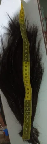 Cabelo humano