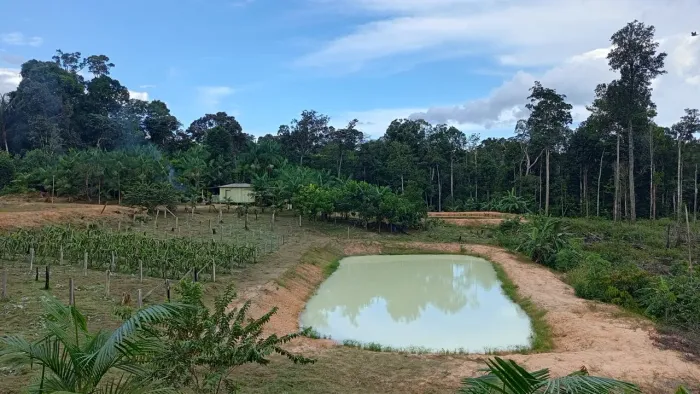 Vendo sítio em Rio Preto da Eva