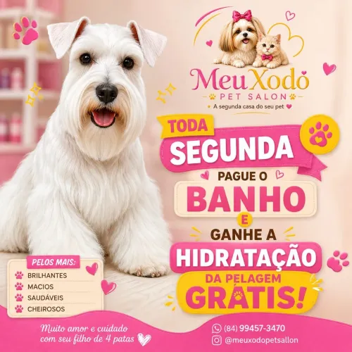 Banho e tosa