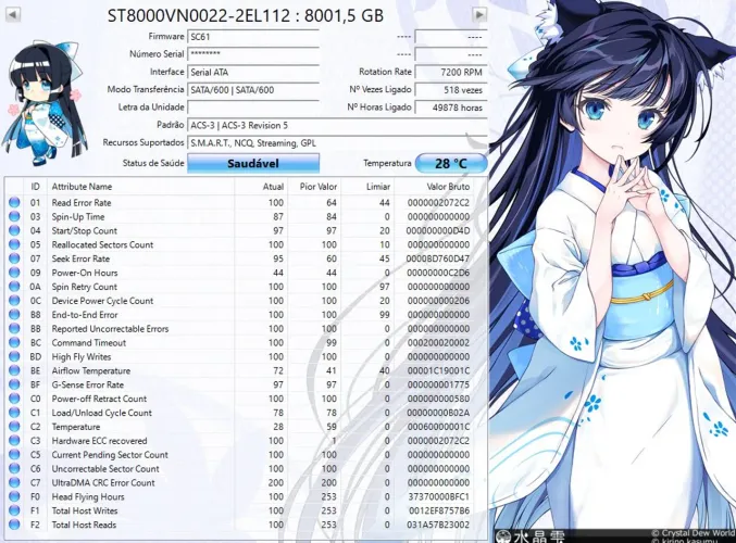 HD nas seagate 8tb ironwolf