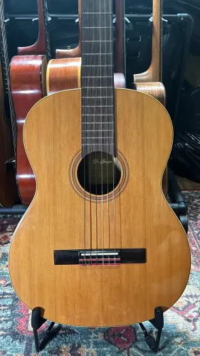 Violão Di Giorgio Estudante n18 2014