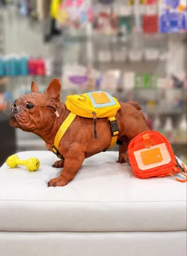 MOCHILA PET (cães e gatos)