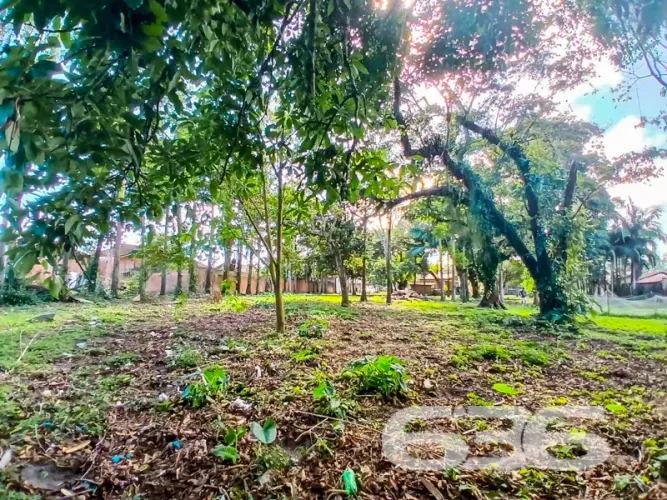 Terreno | São Francisco do Sul | Iperoba