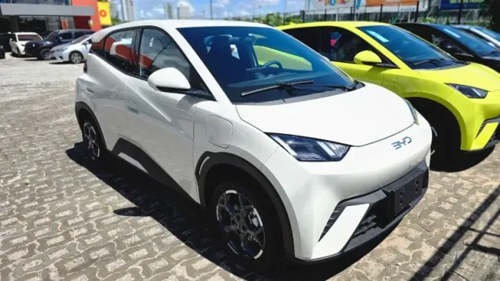 BYD Dolphin Mini (Elétrico) 2027