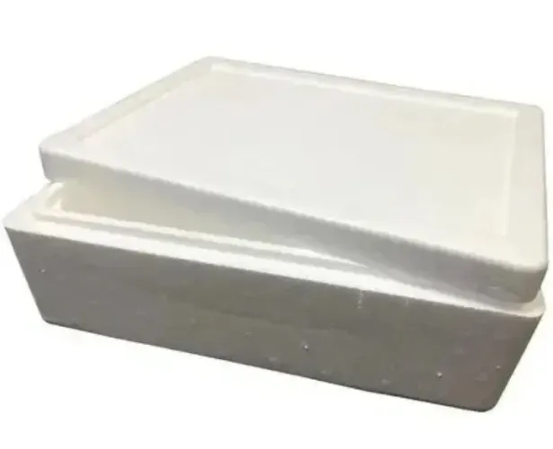 Caixa de isopor.