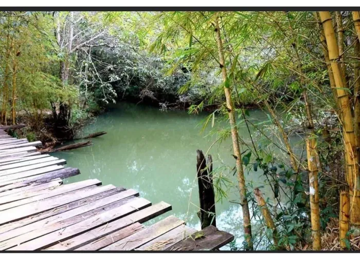 Aluga-se sitio 