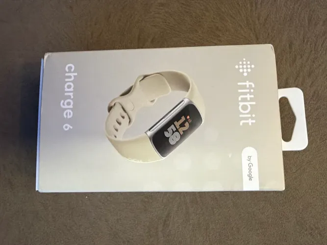 SMARTWATCH GOOGLE FITBIT CHARGE 6
