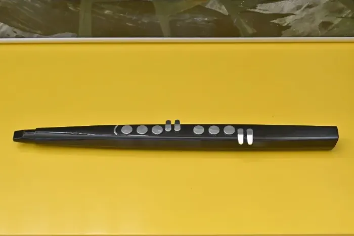 Saxofone Eletrônico Portátil