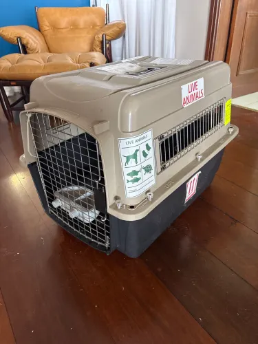 Caixa pet transporte