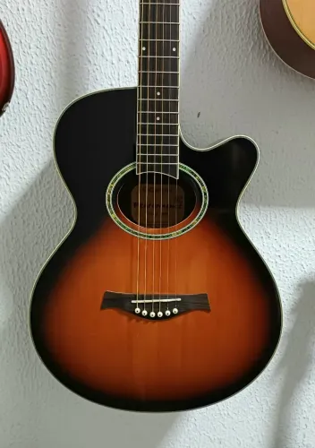 Violão Giannini GSF-3 RF/Fishman - Vendo e Troco 