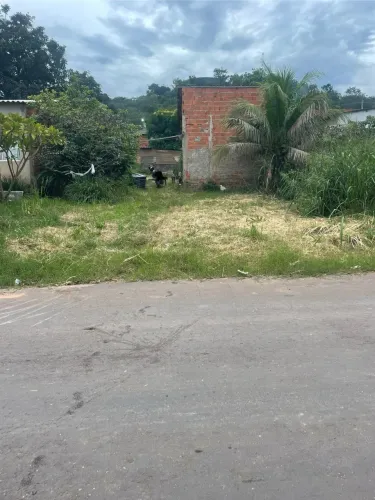 Lote