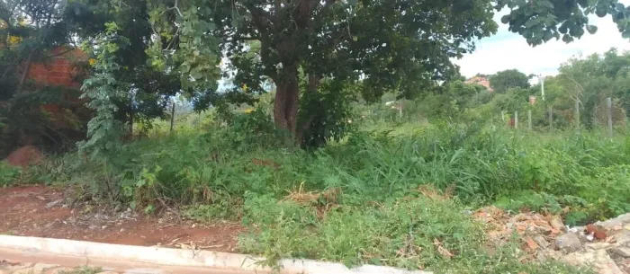 Terreno em Japonvar MG 