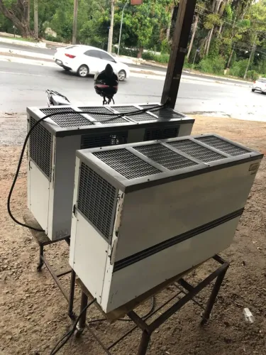 Maquina de gelo , maquina de gelo