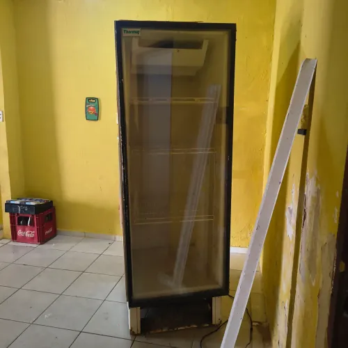 Freezer Expositor
