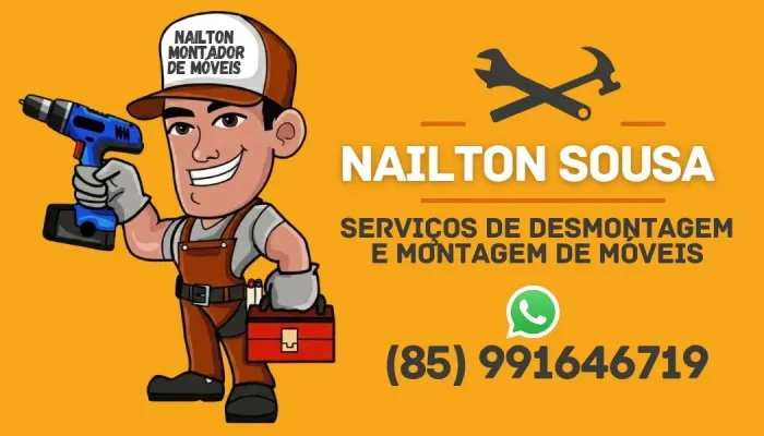 Montagens de móveis e pintor e desenhista