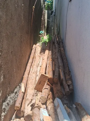 Escora de eucalipto 