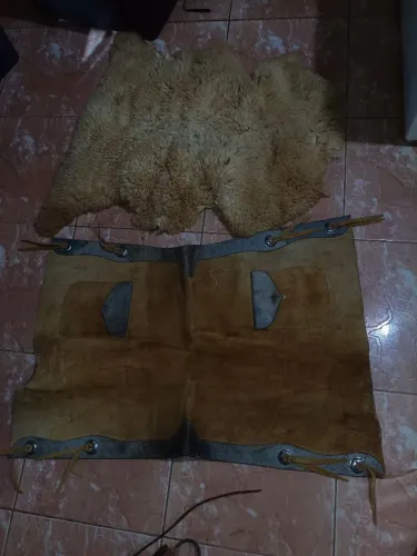 Traia de cavalo