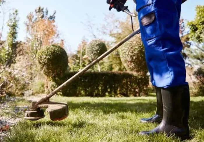 Jardinagem limpeza de terreno 