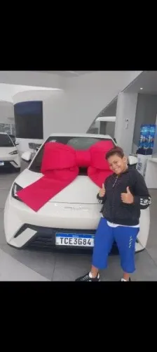 BYD Dolphin Mini (Elétrico) 2024