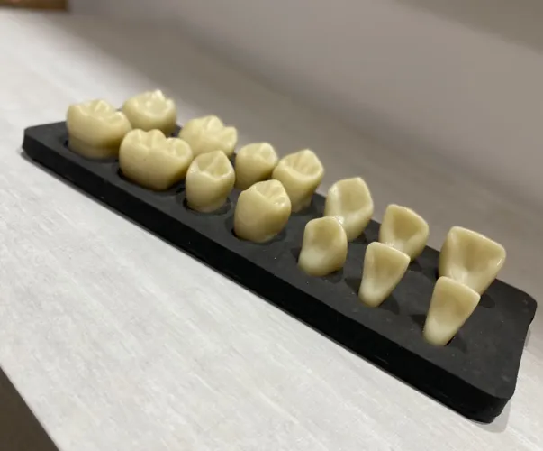 Macromodelos para estudo 