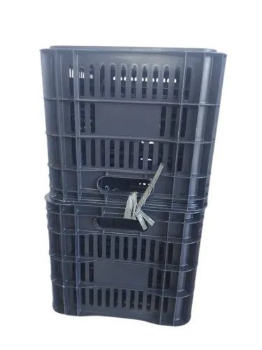 Caixas Plástica Organizadora