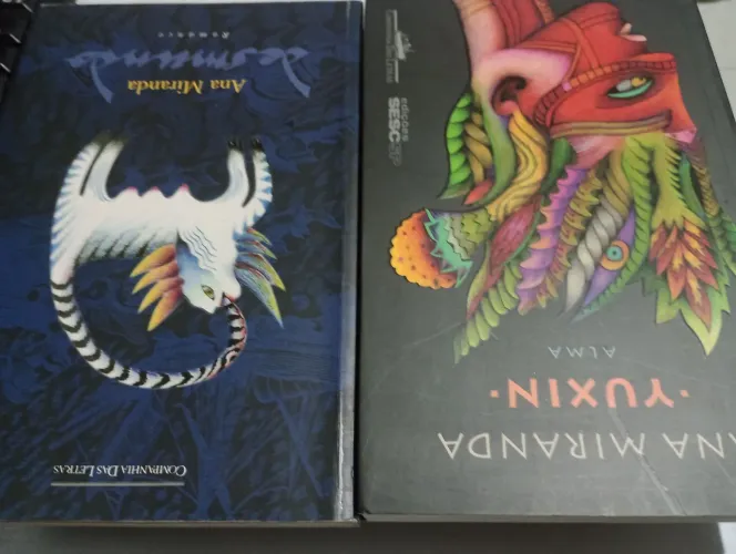 Livros de Ana Miranda