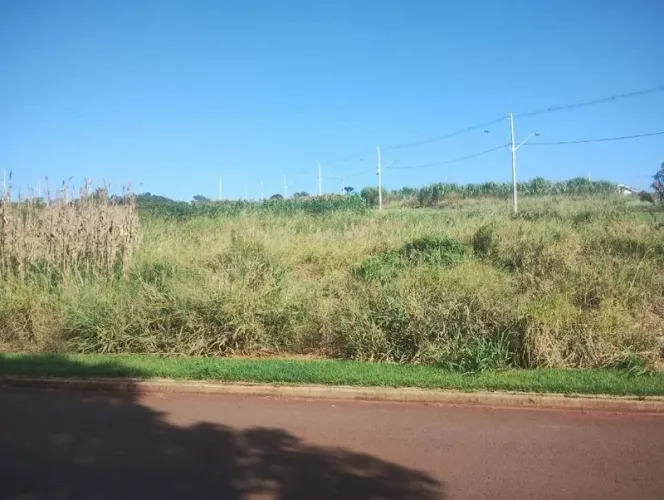Terreno 352m² | DESOCUPADO | Cafelândia-PR | Centro - Amplo Lote de 352m², Jardim Ravena, 