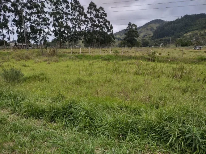 Na BR101, Imbituba. 40.000m2, plano, bom acesso.
