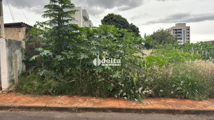 Terreno disponível para venda no bairro Santa Mônica em Uberlândia-MG.