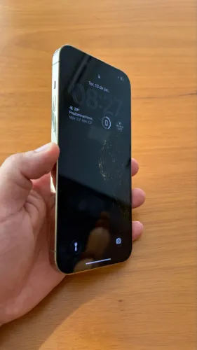 iPhone 13 Pro Max 256gb