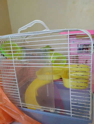 Gaiolas para hamster 
