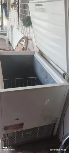 Congelado