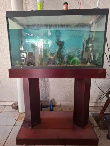 AQUÁRIO