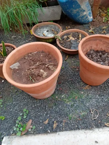 Vasos para plantas