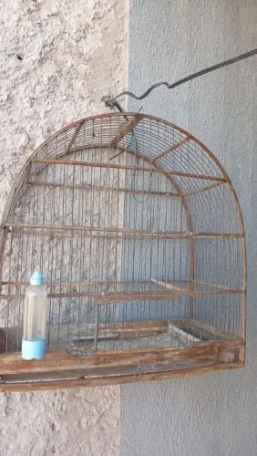 Gaiola