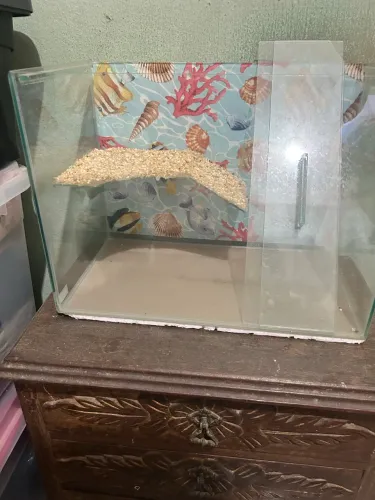 Aquaterrário para Tartaruga