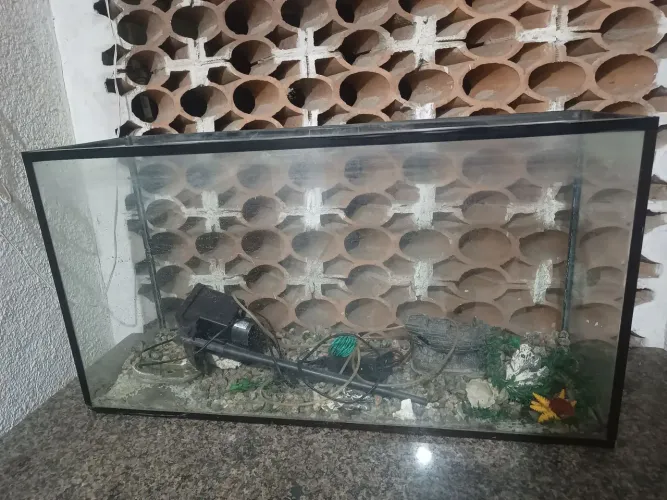 Aquário 280 litros Blindex