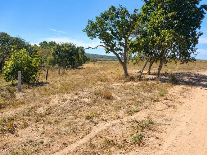 716ha em Novo São Joaquim-MT/R$9.000.hectare/30km da cidade/para Pecuária ou Reserva Legal