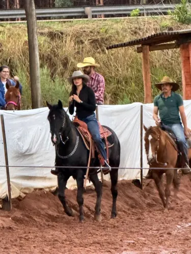 Cavalo Quarto de Milha em cg