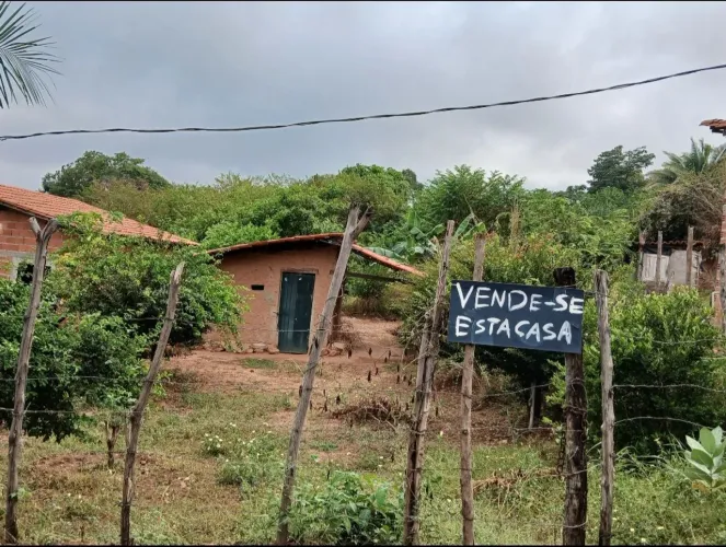Terreno 10x15 com água, energia, casa e árvores frutíferas