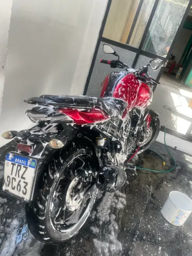 Fz15