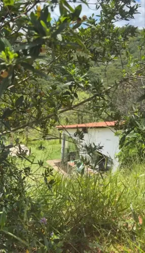 Granja 7.000m2 com vista para Ibitipoca